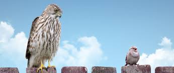 Qui travaillera demain? Les jeunes ou les seniors?